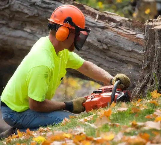 tree services Indian Head